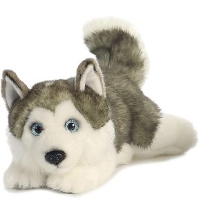 Aurora Husky Lying Miyoni Plush 11"