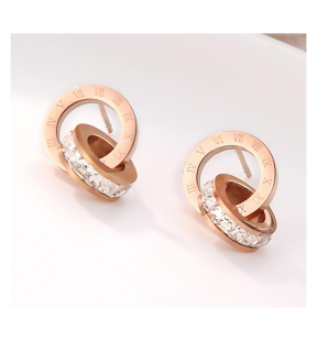 Stainless Steel Crystal Studded Fashion Earrings