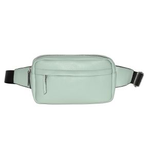 Waist Bag with Web Strap